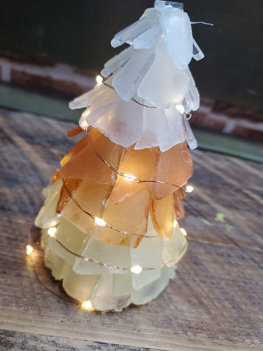 02/08/26 QCWOC Party! 10 AM